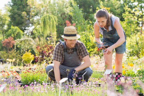 Gardener inspecting a garden bed