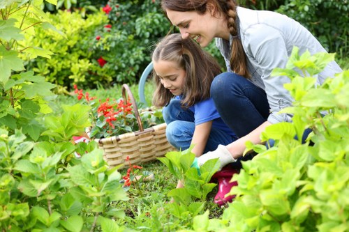 Native plants being arranged by Gardener Euston